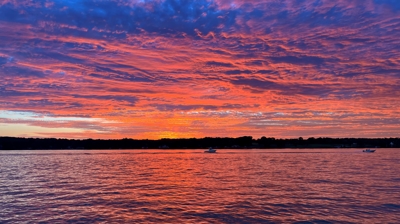 Attorney Tyson's Photos