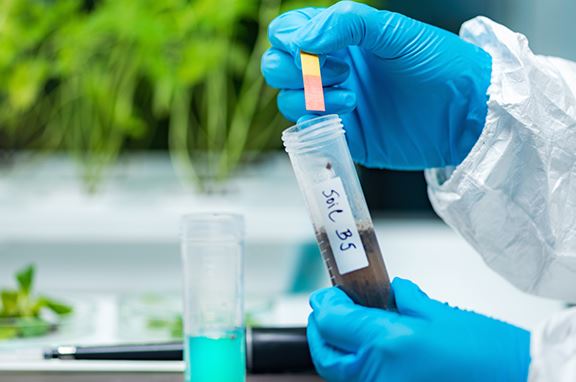 Soil Testing